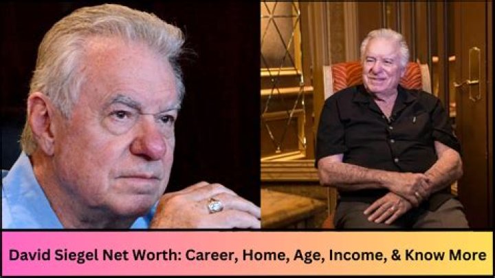 David Siegel Net Worth, Career And Personal Life